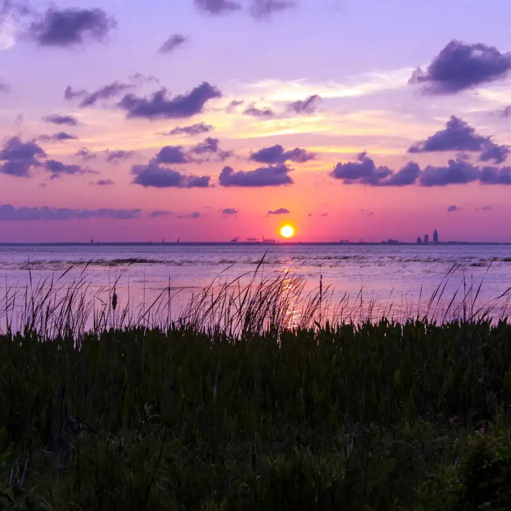 Sunrise in Daphne, Alabama